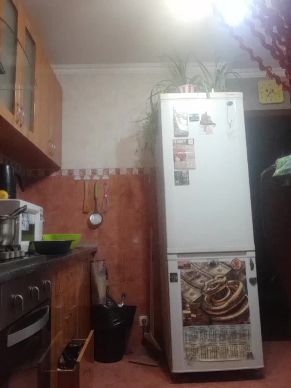 N-I-M-F-O-M-A-N-K-A Cam Model Chat October 4, 2025