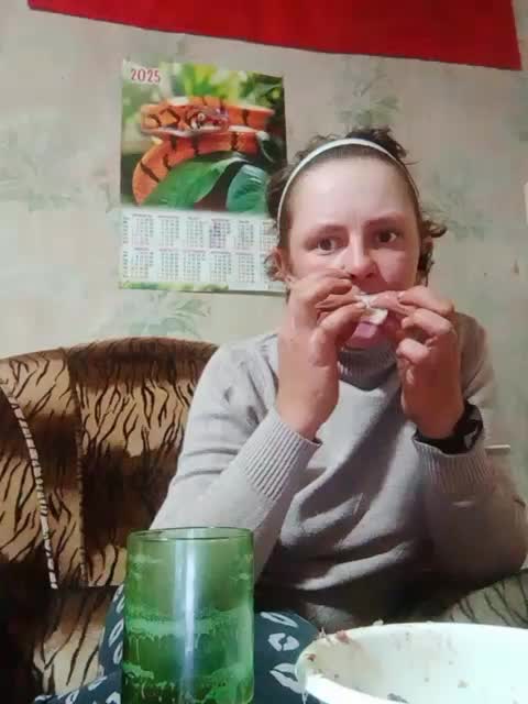 Calibriya Cam Model Chat October 4, 2025