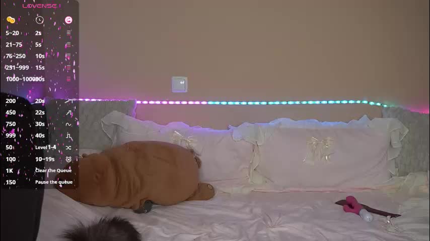 amandaafire Cam Model Chat October 5, 2025