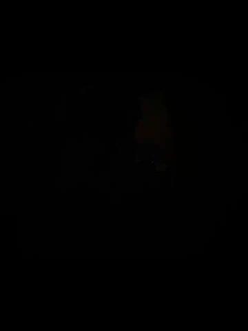 Kotik0690 Cam Model Chat October 5, 2025