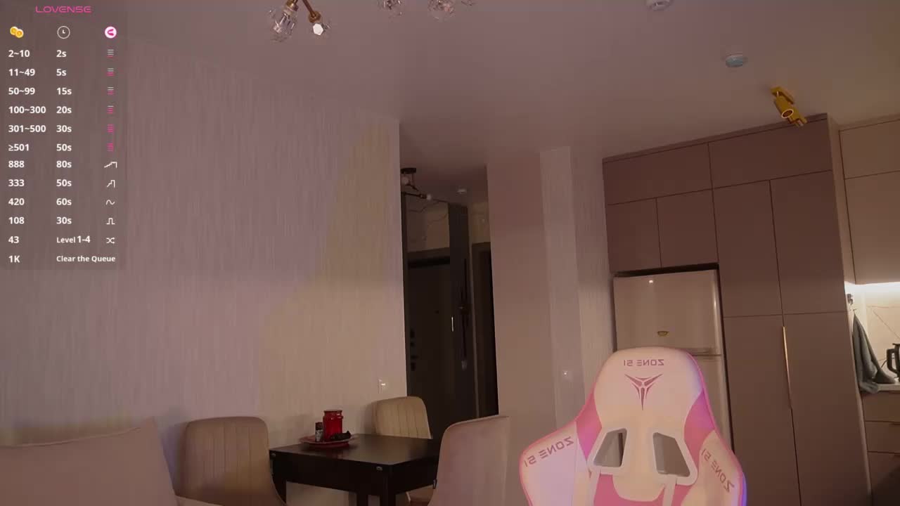 SAVII Cam Model Chat October 5, 2025