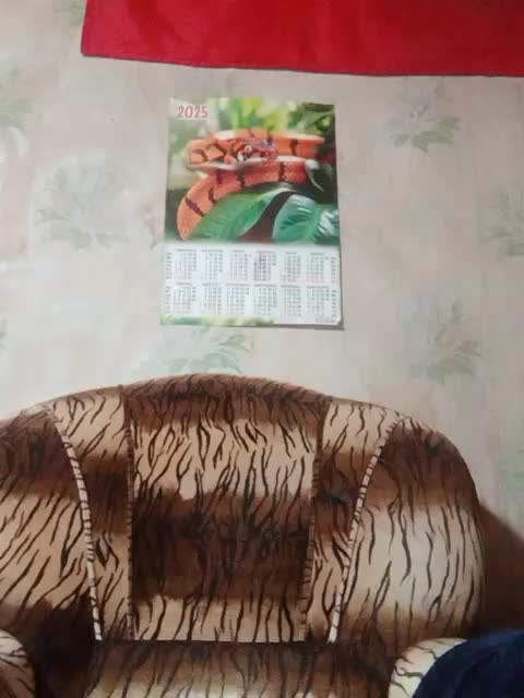 Calibriya Cam Model Chat October 5, 2025