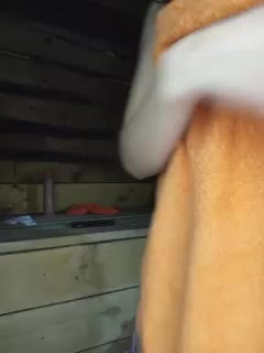 MsHsFuck Cam Model Chat October 5, 2025