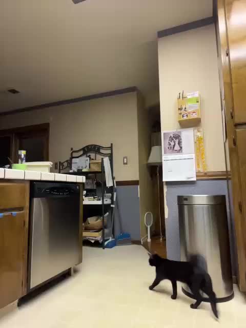 PrurientGem Cam Model Chat October 5, 2025