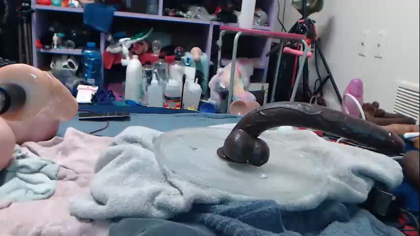 animergamergirl Cam Model Chat October 5, 2025