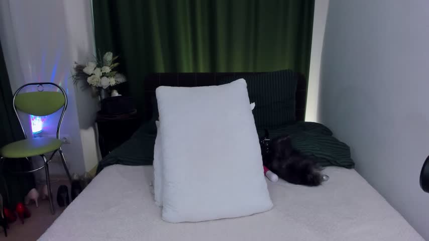 DanikaMorri Cam Model Chat October 5, 2025