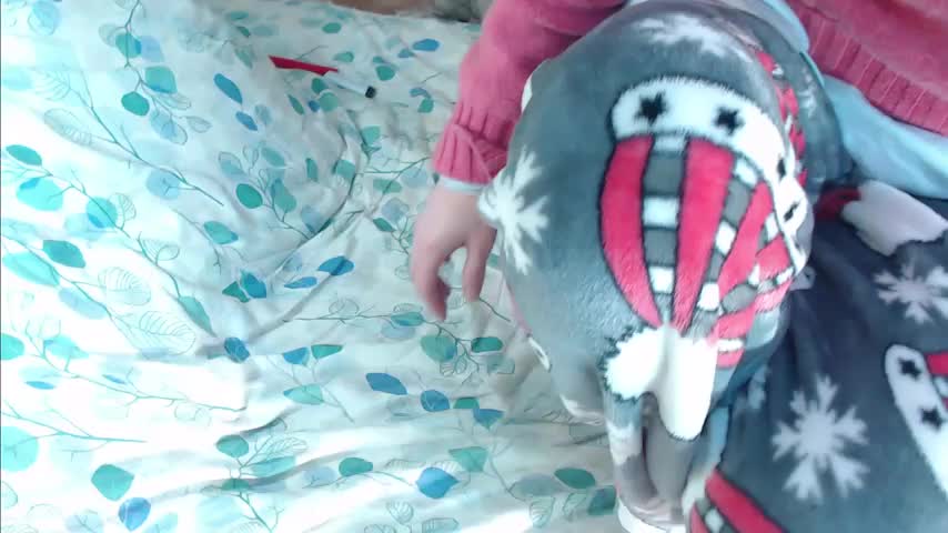 Q_T_pie Cam Model Chat October 5, 2025