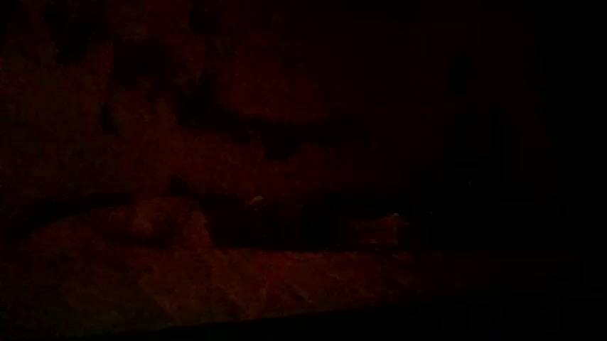 lacybell Cam Model Chat October 5, 2025