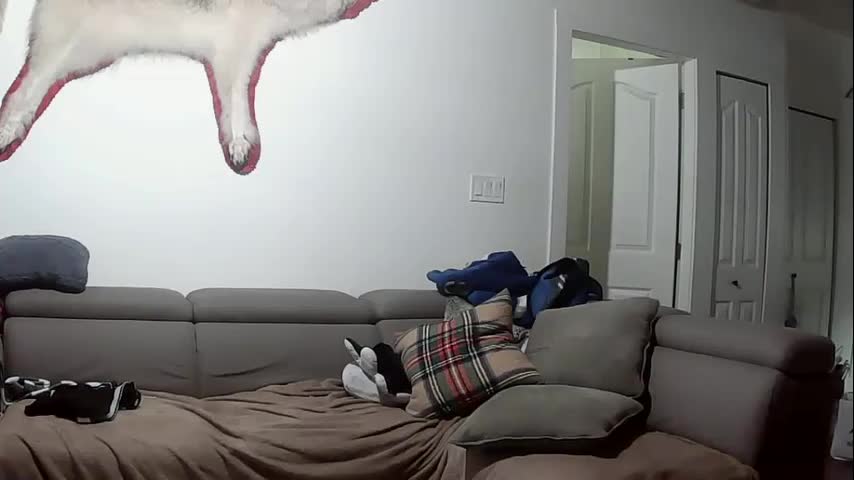 lolalixx6969 Cam Model Chat October 5, 2025