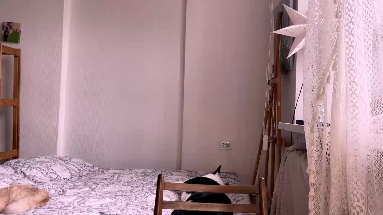 AlmetaGentili Cam Model Chat October 5, 2025