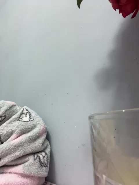 CuteKitty00 Cam Model Chat October 6, 2025