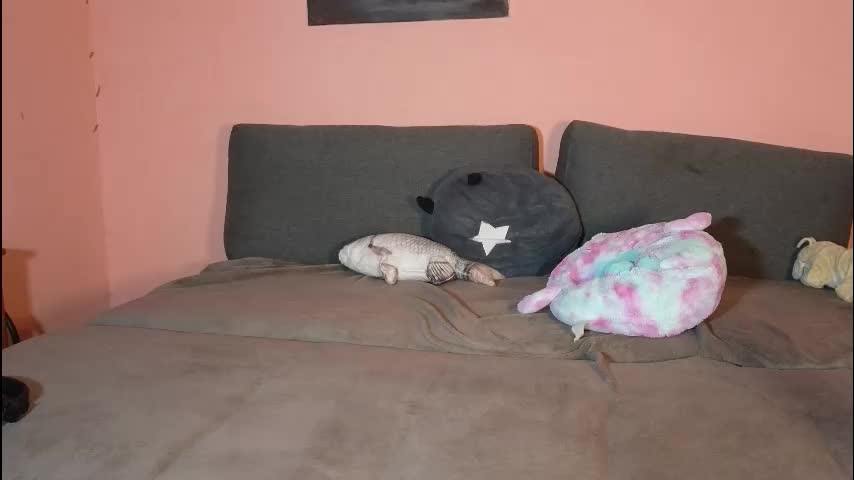 katusha008 Cam Model Chat October 6, 2025