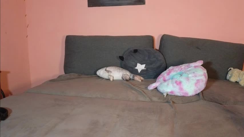 Katusha006 Cam Model Chat October 6, 2025