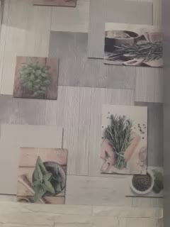 Anesteishen Cam Model Chat October 6, 2025