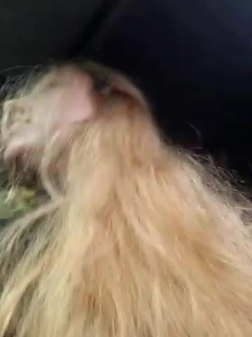 LianaJu Cam Model Chat October 6, 2025