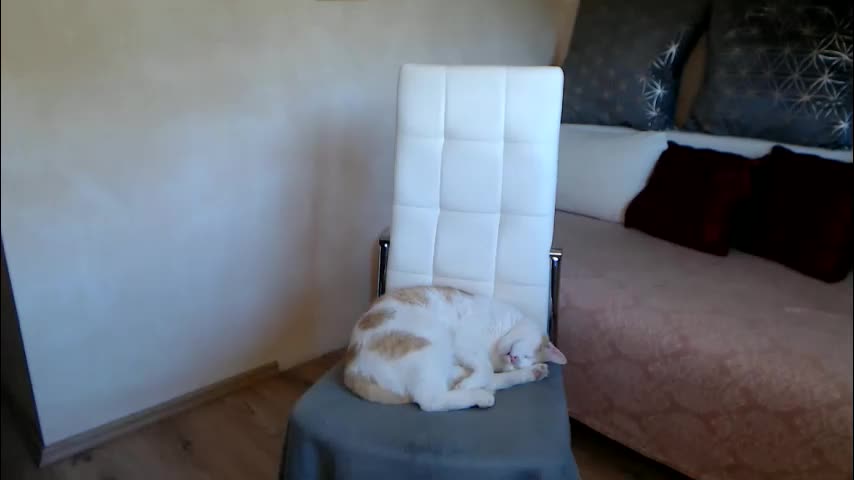 kathylovexxx Cam Model Chat October 6, 2025