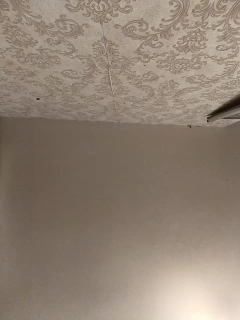 Maluska-Lapyla Cam Model Chat October 6, 2025