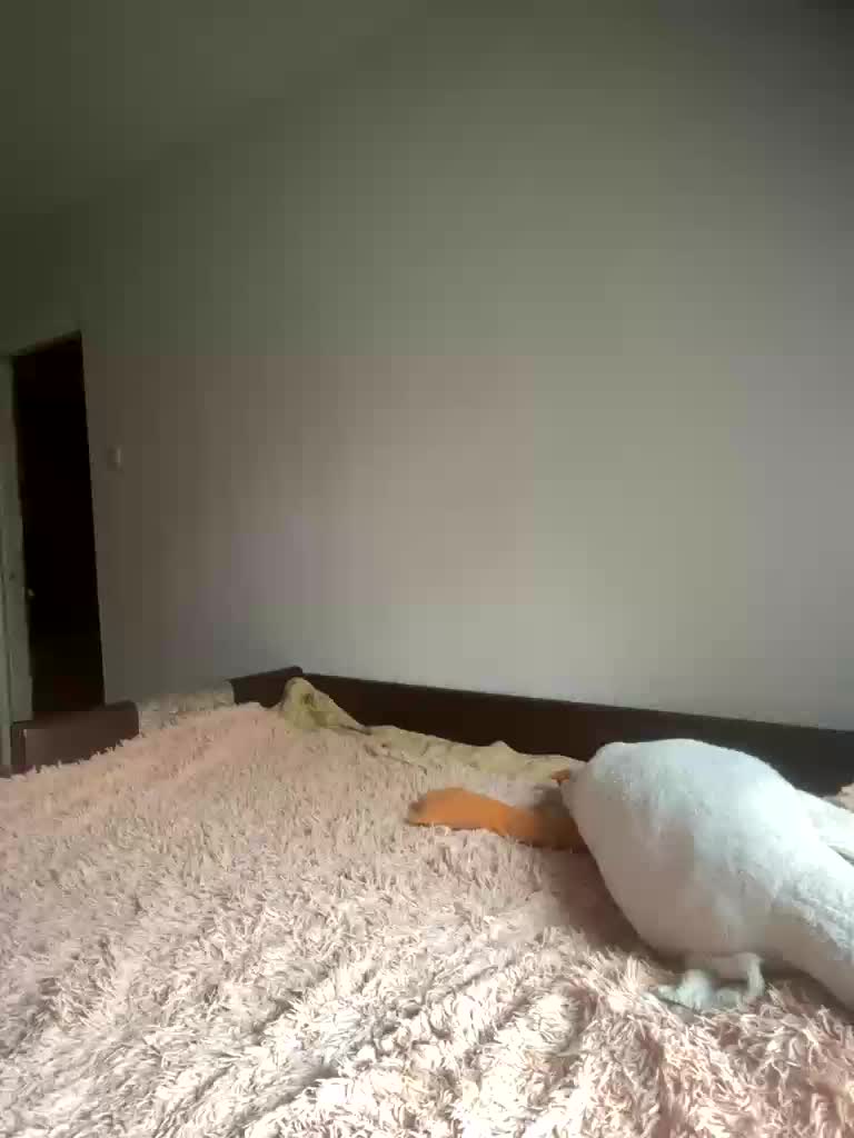 Xyligana Cam Model Chat October 6, 2025