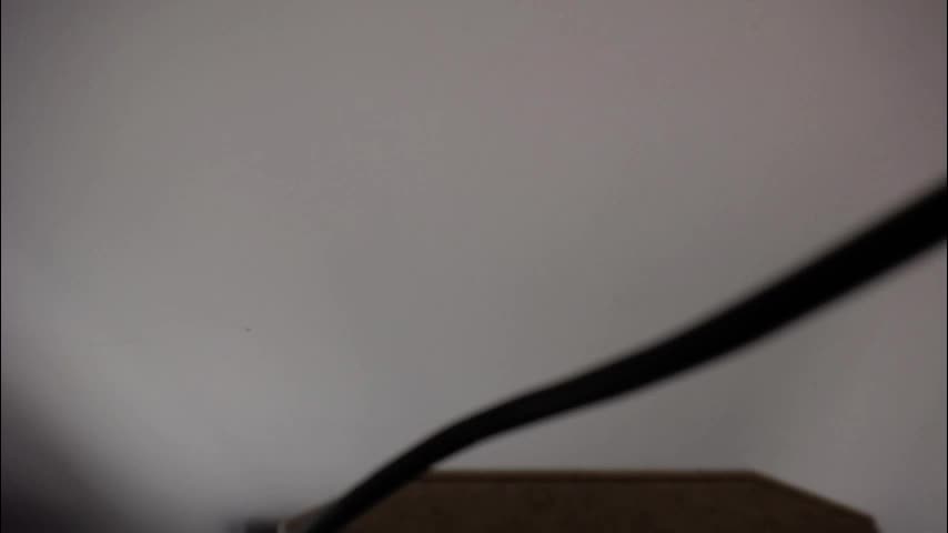 littleviki_ Cam Model Chat October 6, 2025