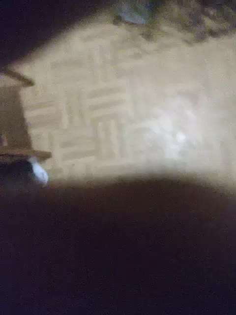 SexPara696969 Cam Model Chat October 6, 2025