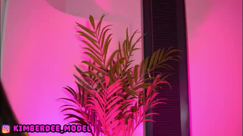 kimberdeee Cam Model Chat October 7, 2025