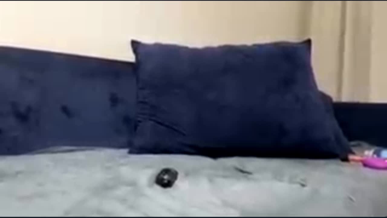 NovaNoirr Cam Model Chat October 7, 2025