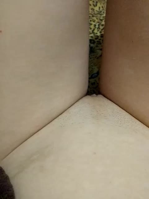 KIROCCHKA_BABY Cam Model Chat October 7, 2025