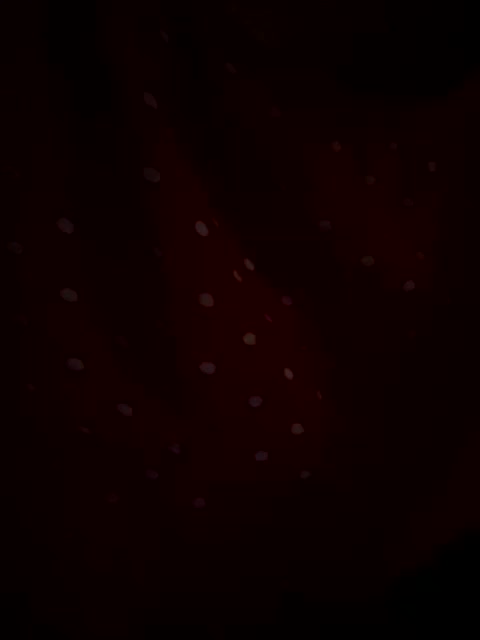 Angelina-8 Cam Model Chat October 7, 2025