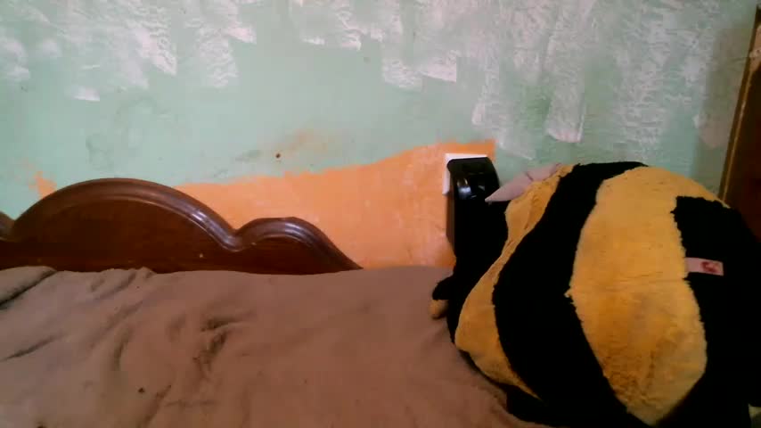 DennisXCaroll Cam Model Chat October 7, 2025