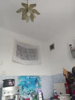 NeZabudka- Cam Model Chat October 7, 2025