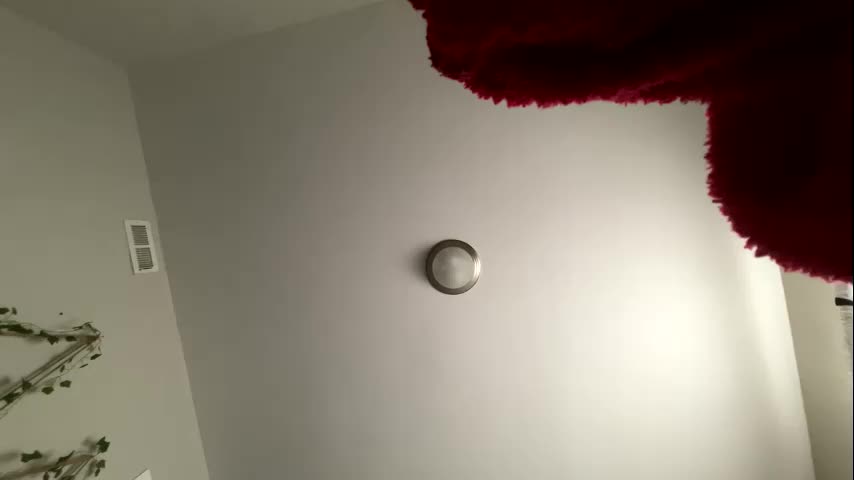 zoel87 Cam Model Chat October 8, 2025