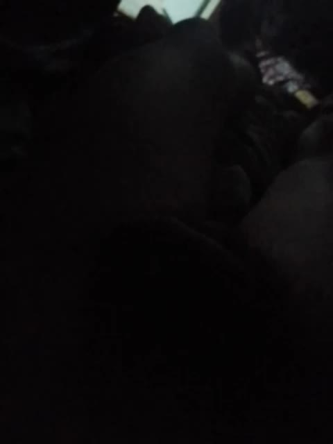 Fuffocka Cam Model Chat October 8, 2025