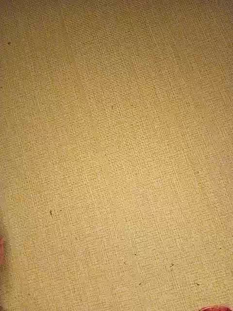 Maxxxxx7778 Cam Model Chat October 8, 2025