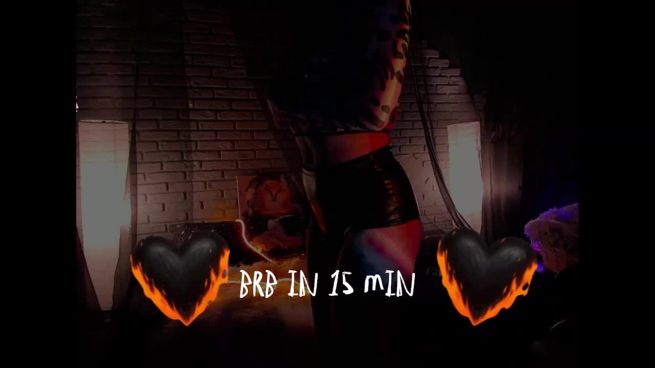 Li-Drago Cam Model Chat October 8, 2025