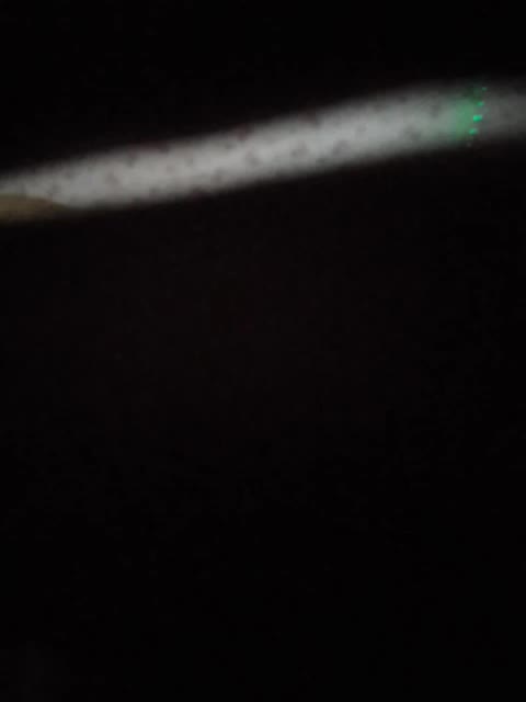 Fuffocka Cam Model Chat October 8, 2025