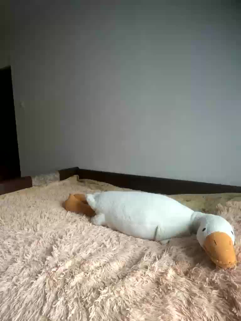 Xyligana Cam Model Chat October 8, 2025