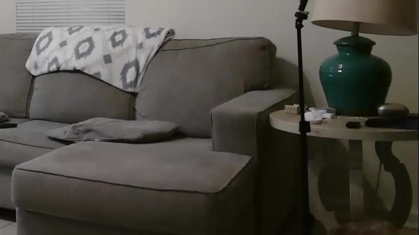 bigcraig123 Cam Model Chat October 8, 2025