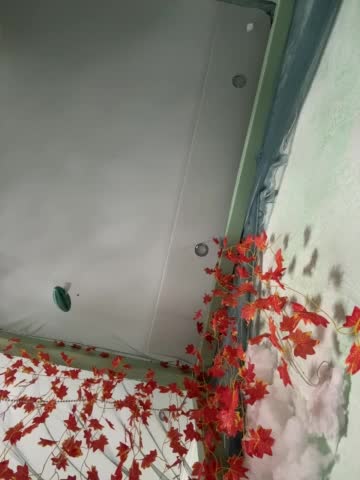 -Windranger- Cam Model Chat October 8, 2025