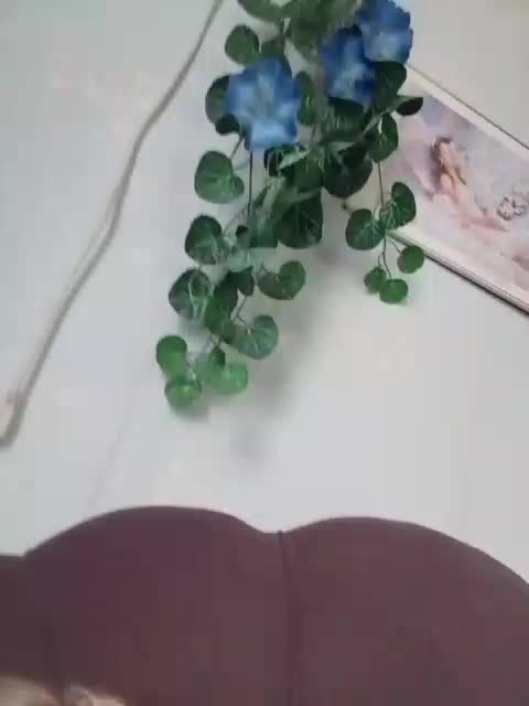 MerellinFicus Cam Model Chat October 8, 2025