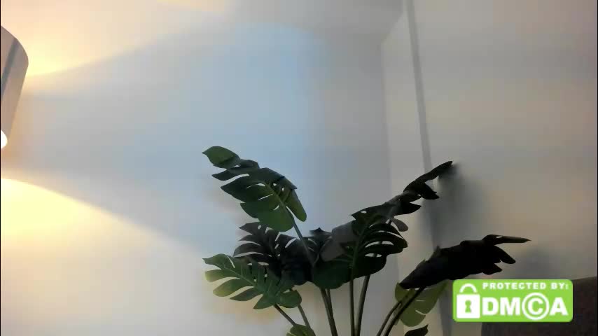 ashllovee_ Cam Model Chat October 8, 2025