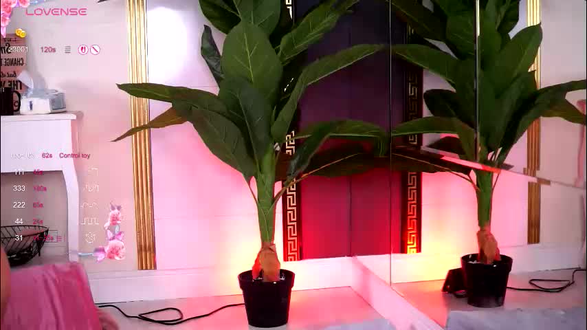 evawarenn Cam Model Chat October 8, 2025