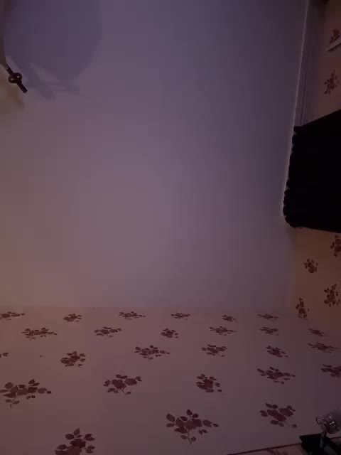 Rinaaamur Cam Model Chat October 8, 2025