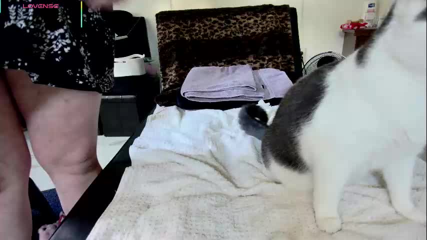 jjjust4fun1985 Cam Model Chat October 9, 2025