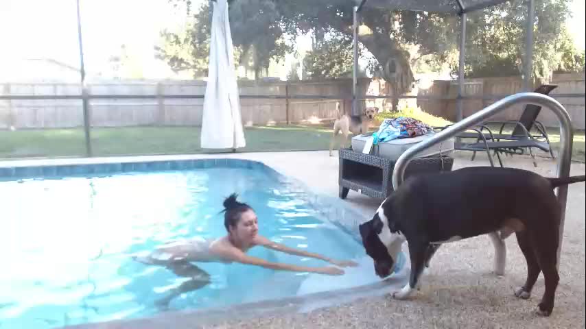 dazeydo Cam Model Chat October 9, 2025