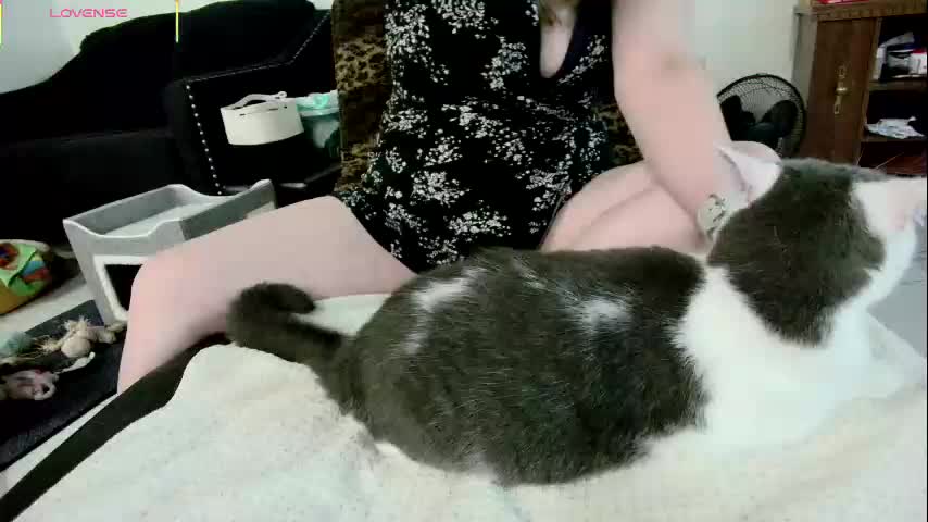 jjjust4fun1985 Cam Model Chat October 9, 2025