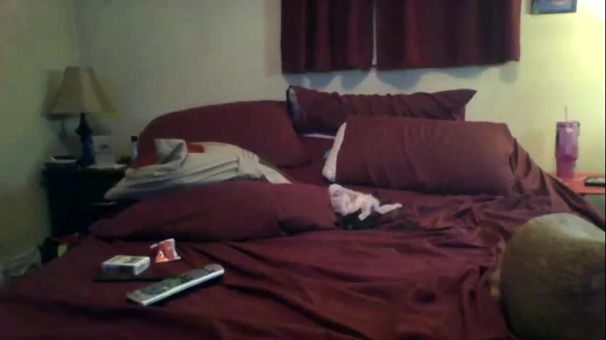 tandjl Cam Model Chat October 9, 2025