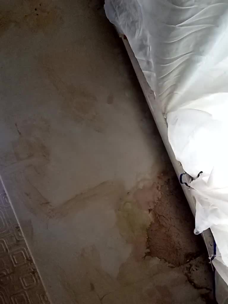 ericakat Cam Model Chat October 9, 2025