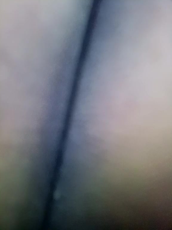 Artem29aAlisa29 Cam Model Chat October 9, 2025