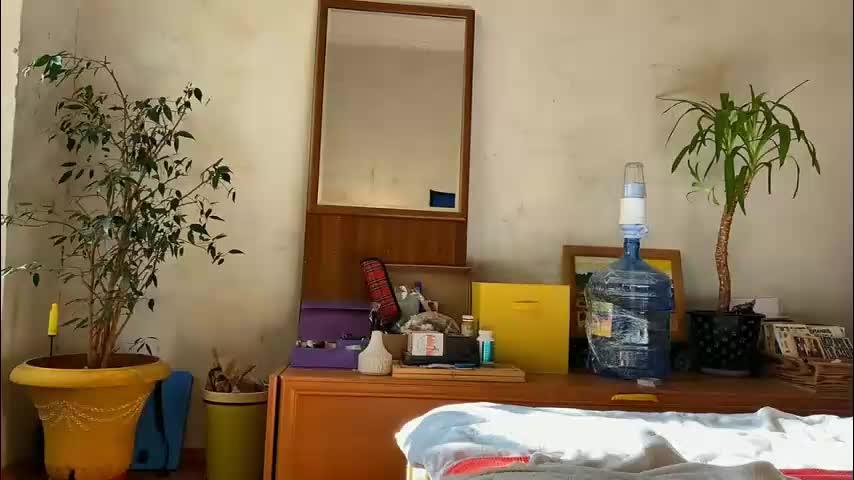 misszlataa Cam Model Chat October 9, 2025