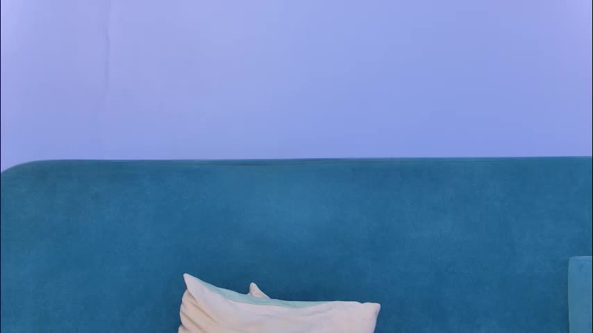 _mooncake Cam Model Chat October 9, 2025